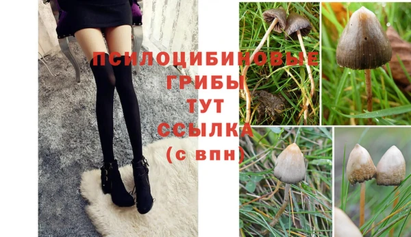 таблы Белокуриха