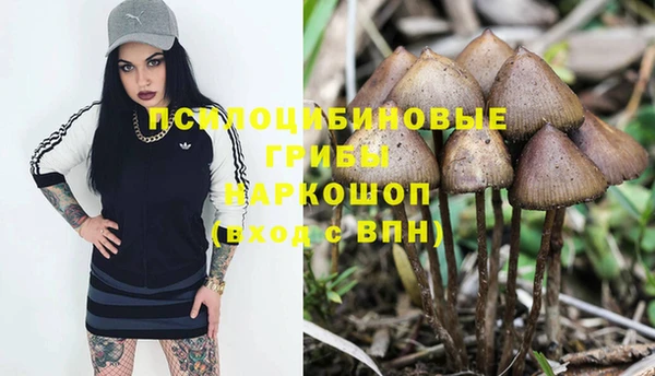 таблы Белокуриха