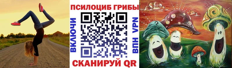 Галлюциногенные грибы прущие грибы  купить наркотики цена  Цоци-Юрт 