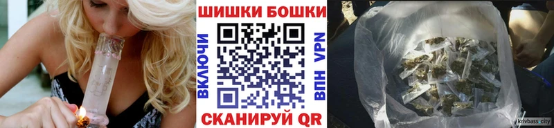 Бошки Шишки конопля  где купить   Цоци-Юрт 